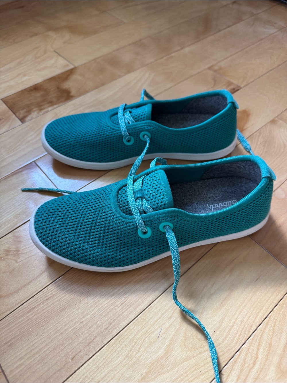 Allbirds Teal Treeskippers